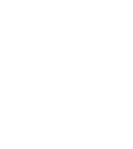 Champion System Logo